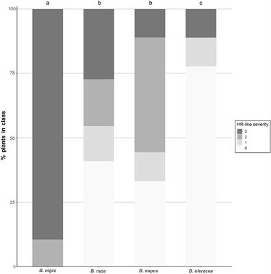 Attraction of Trichogramma Wasps to Butterfly Oviposition-Induced Plant Volatiles Depends on Brassica Species, Wasp Strain and Leaf Necrosis